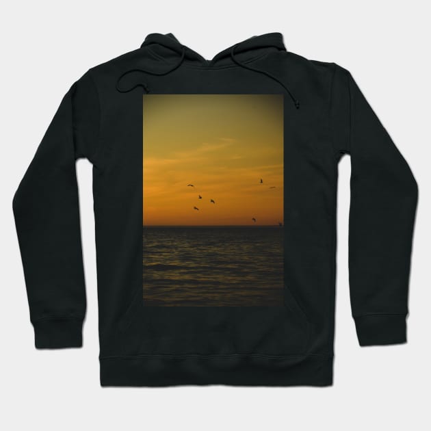 Sunset on Lake Michigan Hoodie by oliviastclaire